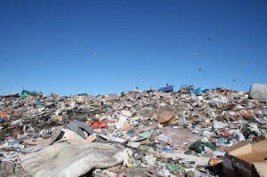 Waste Management hopes to turn more landfills into natural preserves. Photo: Forcechange.com