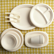 biodegradable-dinnerware Sometimes disposable dinnerware is unavoidable, but you can make smarter choices when you're purchasing it. Photo: uncrate.com