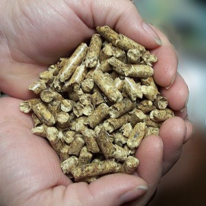 Wood is the only 100 percent renewable, recyclable, reusable and biodegradable resource we have, making the stewardship of wood products an invaluable step in conserving resources. Photo: Cfuel.com