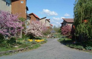 A lane in the Frog neighborhood at EcoVillage at Ithaca. Photo: EcoVillage at Ithaca