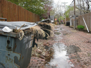 Curbside Yard Waste Bin Common applications of compost include curbside yard waste collection programs. Photo: Flickr/tlr3automaton