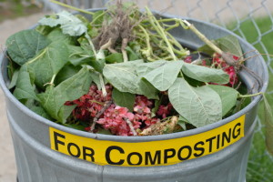 Composting Can