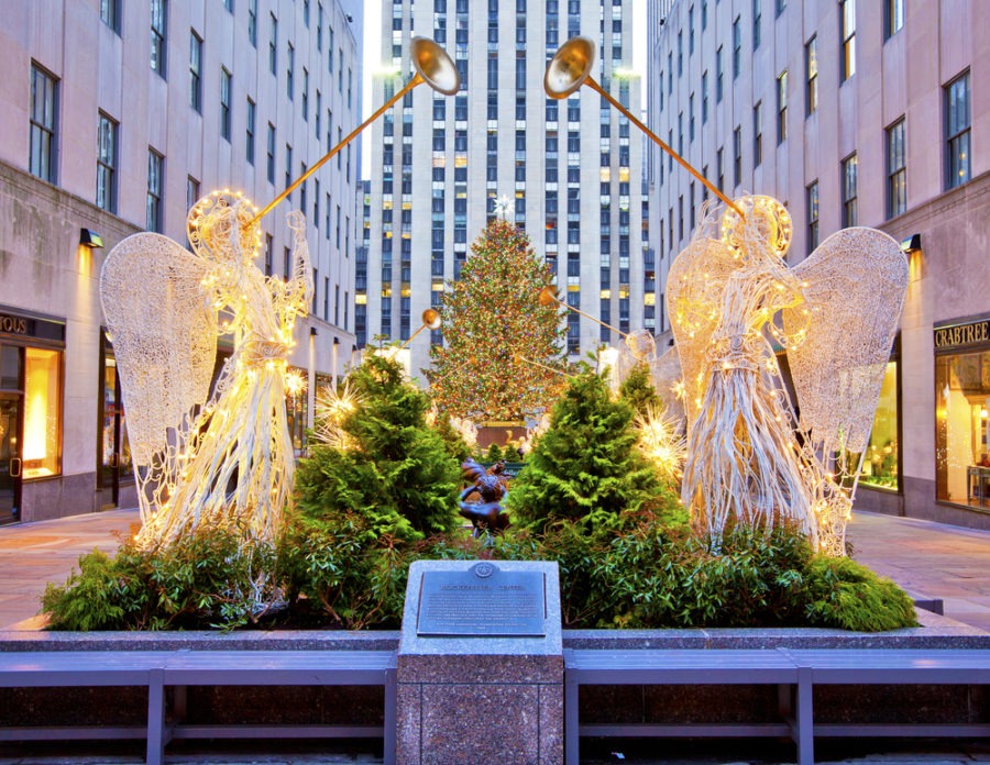 photo of What Happens to the Rockefeller Tree After Christmas? image
