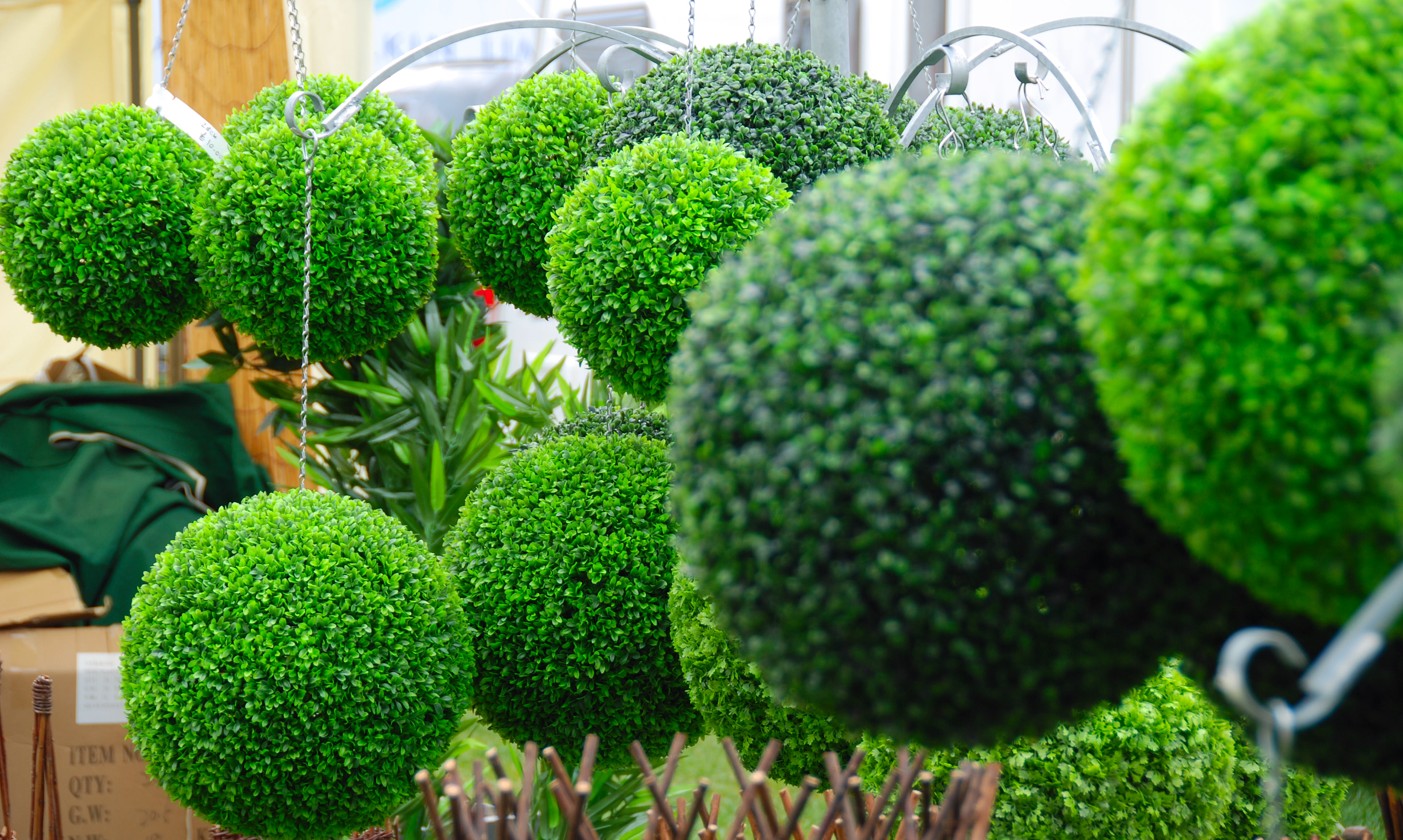 eco friendly gardening green garden seeing earth911 topiary shares