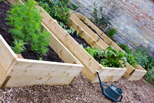 photo of How To Maximize Your Vegetable Garden Harvest image