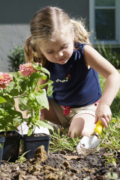 photo of How To Start A School Garden image