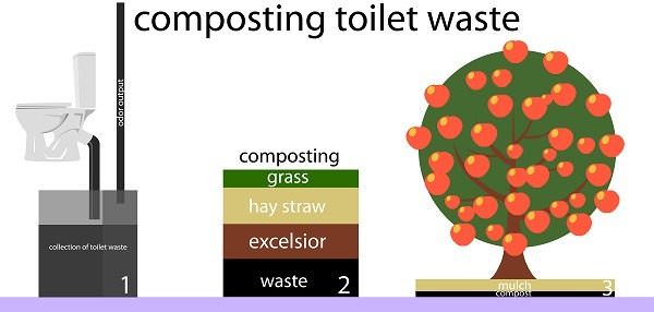photo of Composting Toilets: How Your Waste Becomes Black Gold image