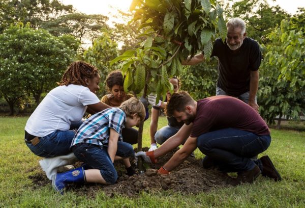 Group of people plants a tree together