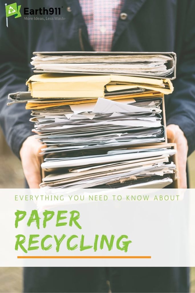 Curious about paper recycling? Check out this great guide that teaches you exactly how paper is recycled and what you can do to recycle paper more effectively.