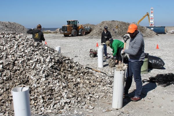 taff bagging some of the 1,750 tons of oyster shell reclaimed by Coalition to Restore Coastal Louisiana’s Oyster Shell Recycling Program