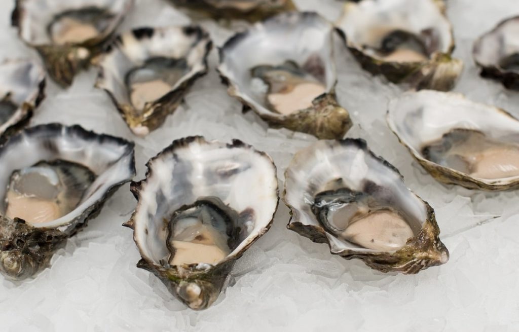 Recycling Mystery Oyster Shells Earth911
