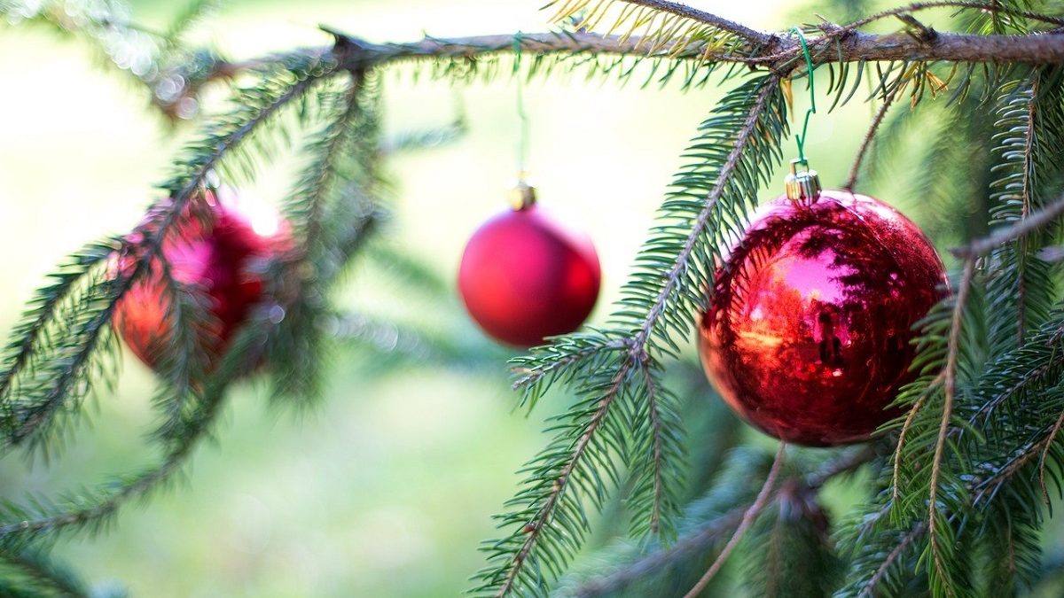 Closeup of live evergreen with red bulb decorations. Image: Jill111, Pixabay
