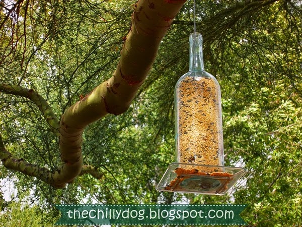 wine bottle bird feeder