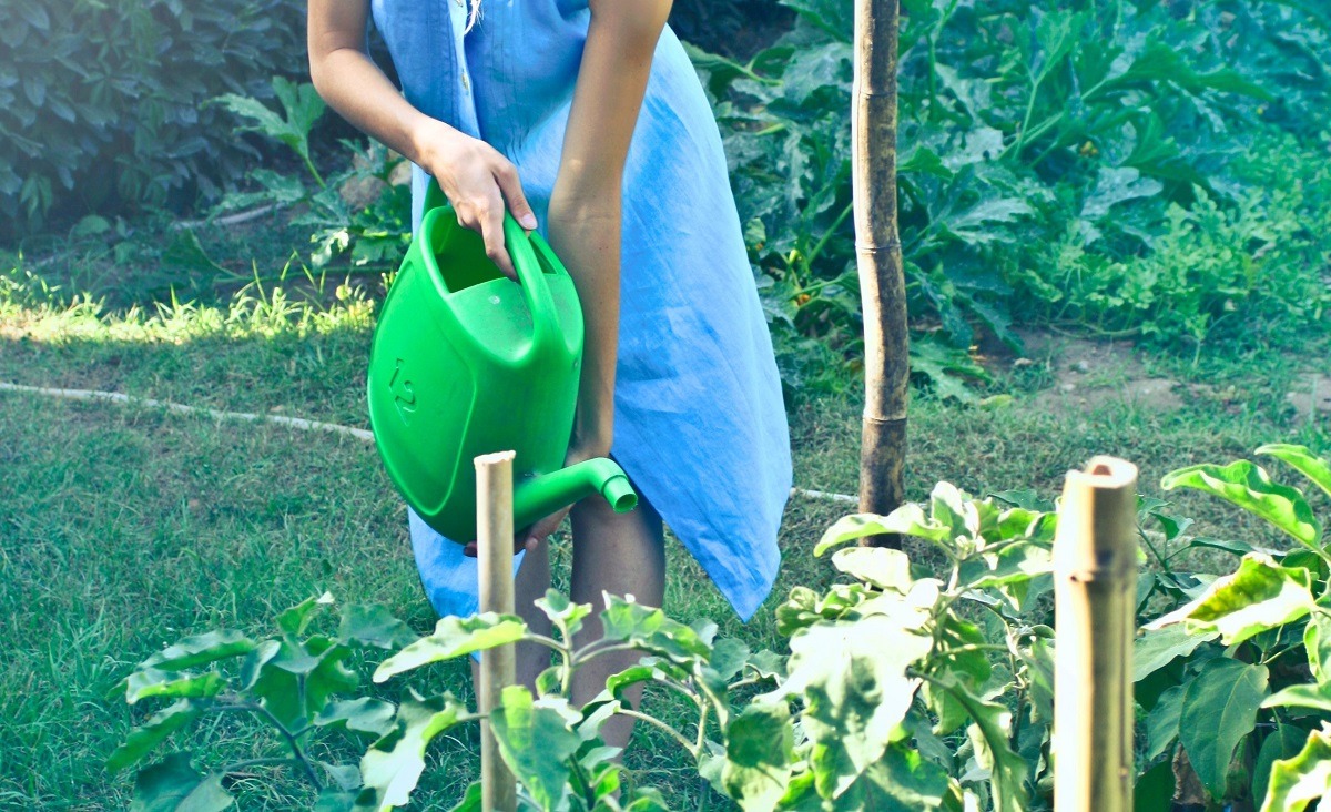 woman watering garden from watering can