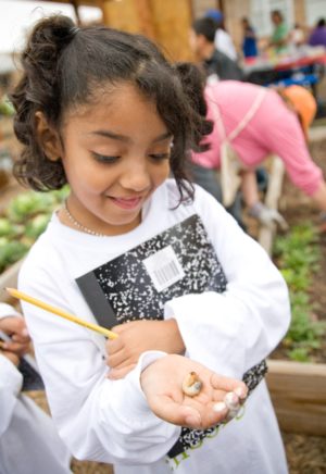 Image courtesy of REAL School Gardens