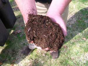 Hands holding compost 