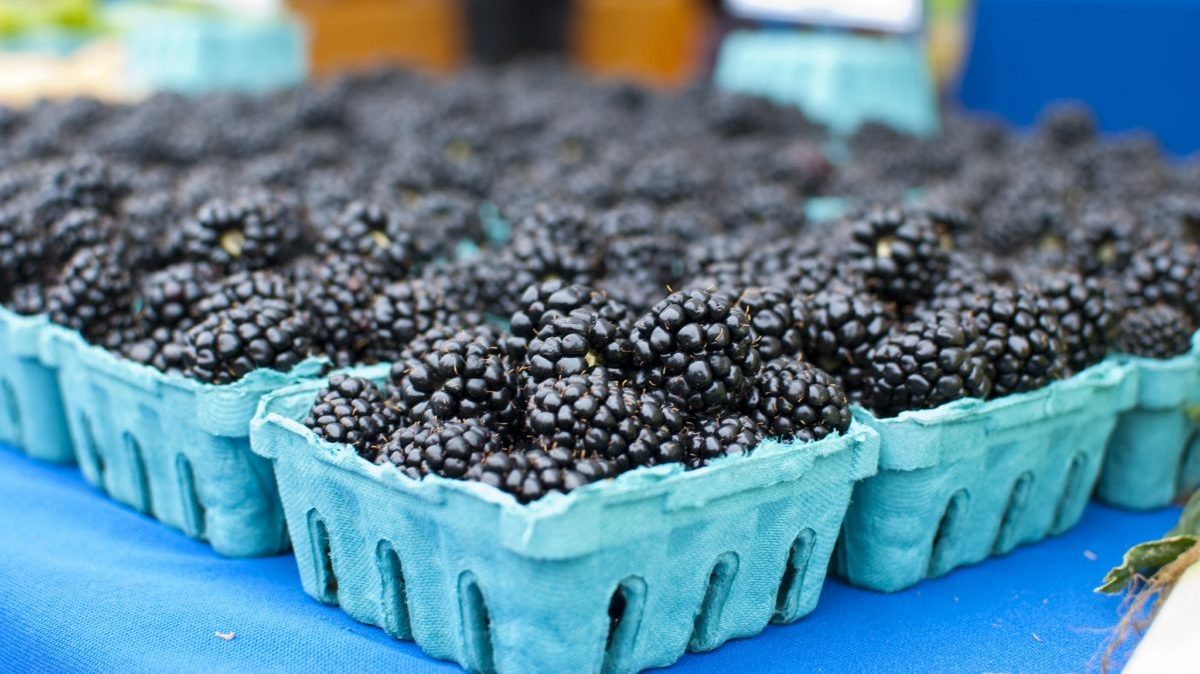 Blackberries at farmers market