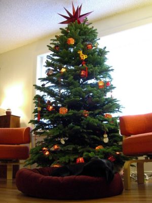 Real Christmas tree 