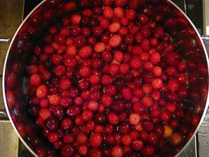 Thanksgiving cranberries 