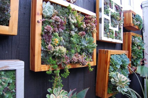 Vertical gardening using recycled silk screens 
