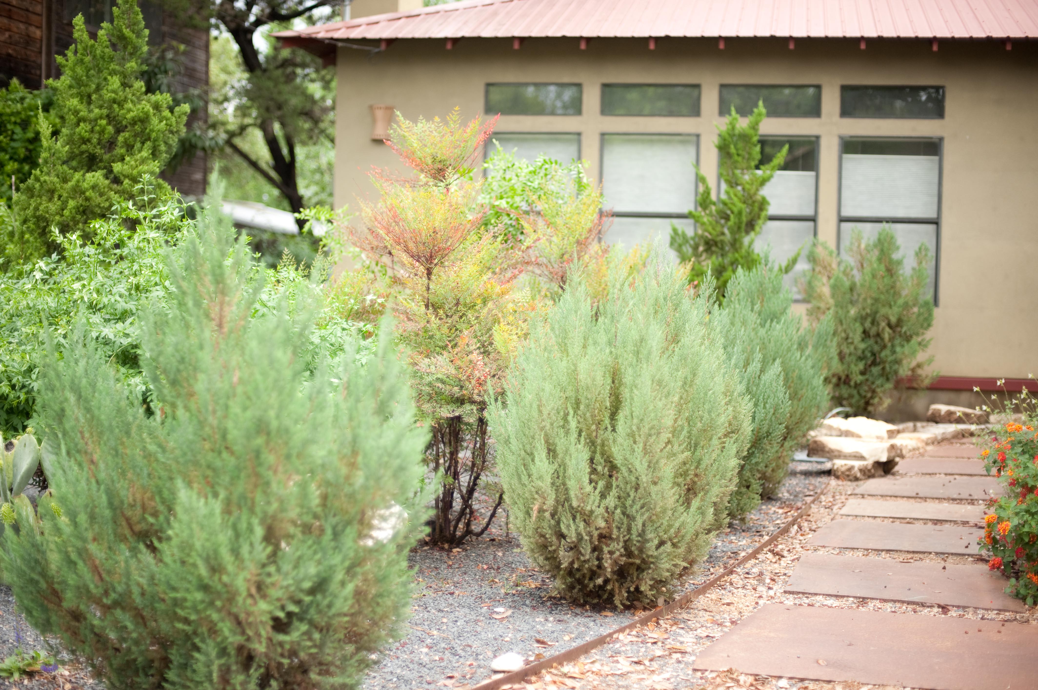 Xeriscaping inspiration