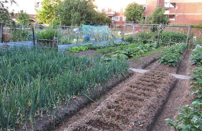 Cable Street Community Garden.