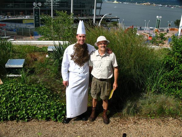 Executive Chef Shannon Wrightson and Beekeeper John Gibeau - The inaugural Honey Harvest at The Fairmont Waterfront Hotel