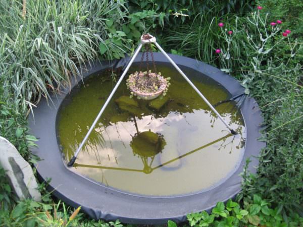 Satellite dish made into a bird bath