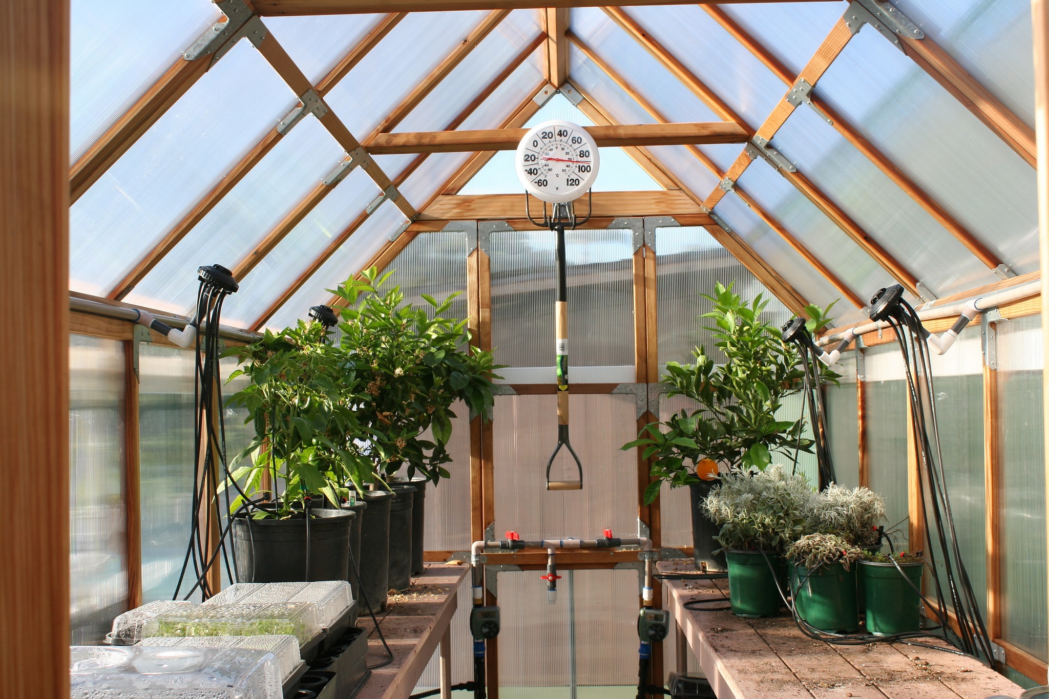 Sustainable greenhouse. 