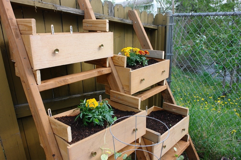 recycled drawers into vegetable garden