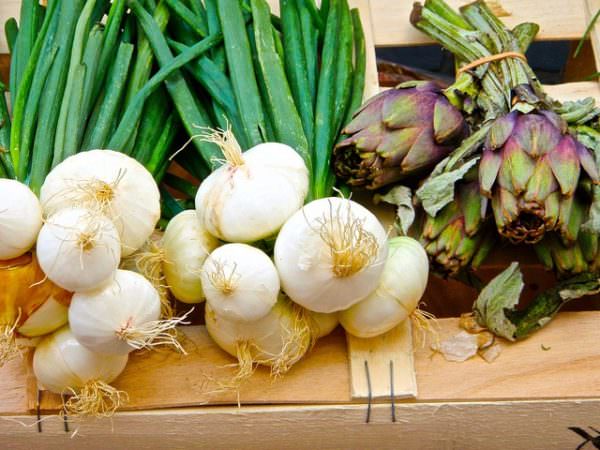 Onions and artichokes from farmers market