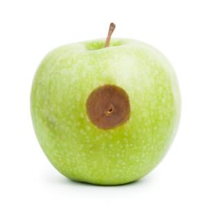 Green apple with blemish
