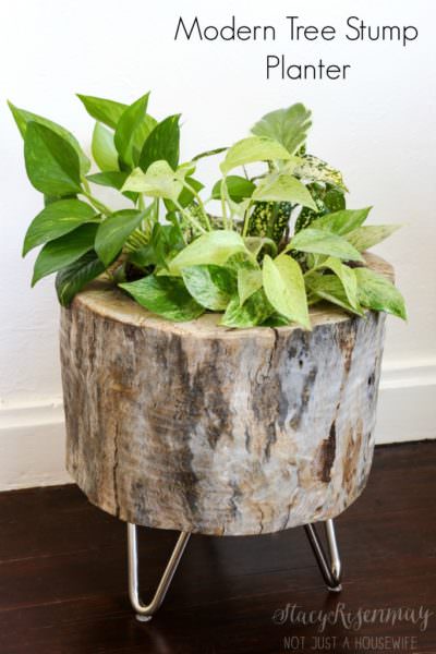 Tree stump indoor gardening planter