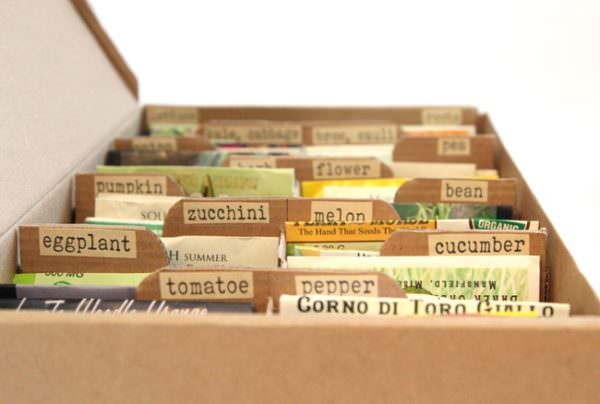 Upcycled shoebox: Seed organizer