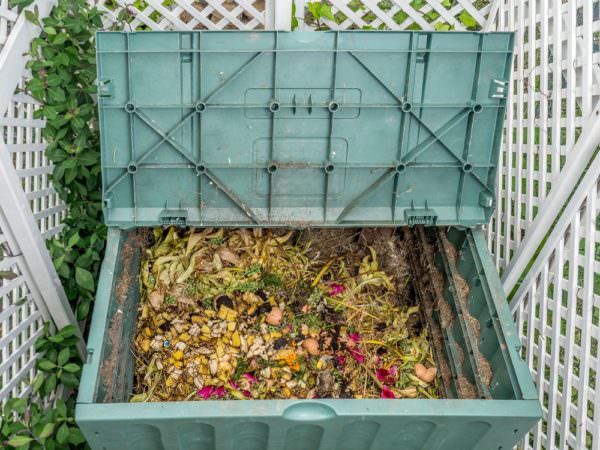 Green plastic compost bin full of organic and domestic food scraps