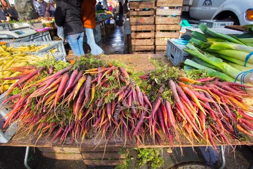 Urban farming carrots