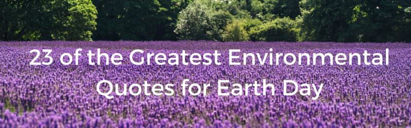 These 23 environmental quotes are perfect for Earth Day.