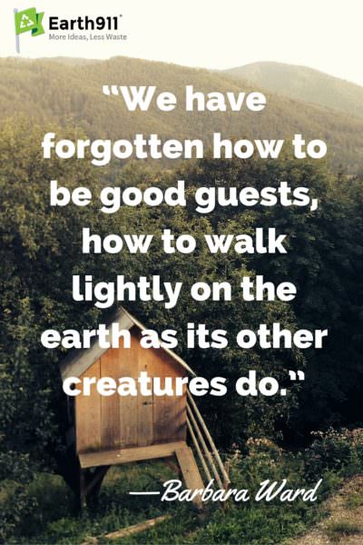 This environmental quote from Barbara Ward is so true. We need to learn to walk lightly upon the Earth.