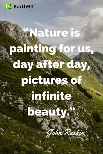 Love this quote about the beauty of the world around us. 