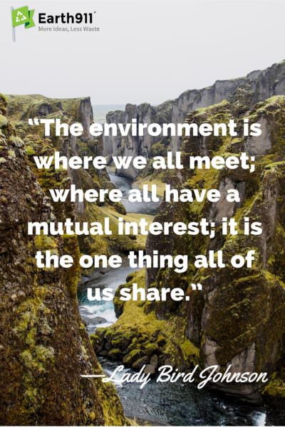 Awesome quote about the environment