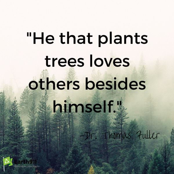 According to the environmental quote I need to go plant a few trees.
