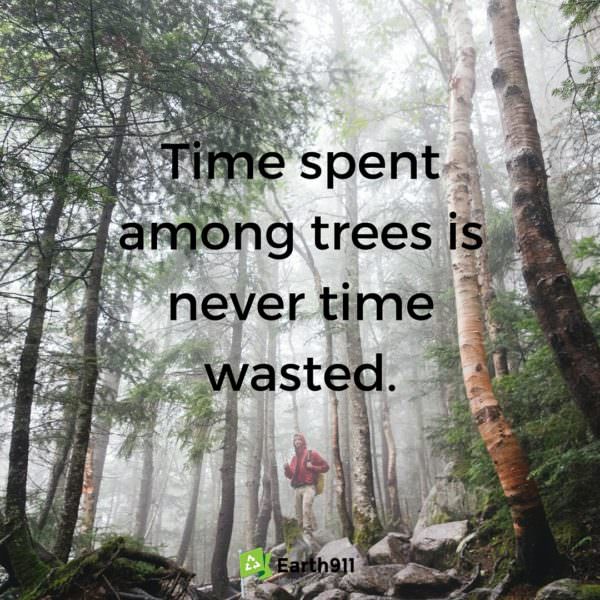 Ain't this the truth. I love running through the forests exploring the environment.