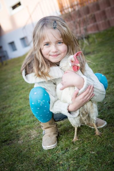 Go Green: Young girl holding backyard chicken 