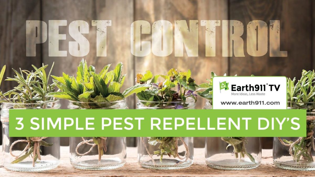 DIY Recipes Natural Bug Repellent
