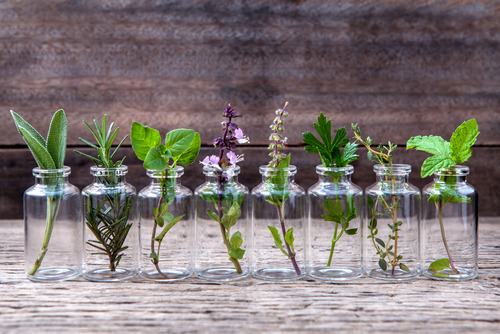 Consider essential oils as an eco-friendly Mother's Day gift idea.