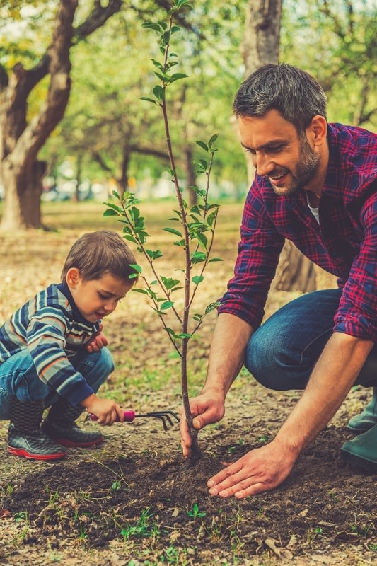 What's more eco friendly than a tree? Consider planting one for Father's Day that he will enjoy for years to come.