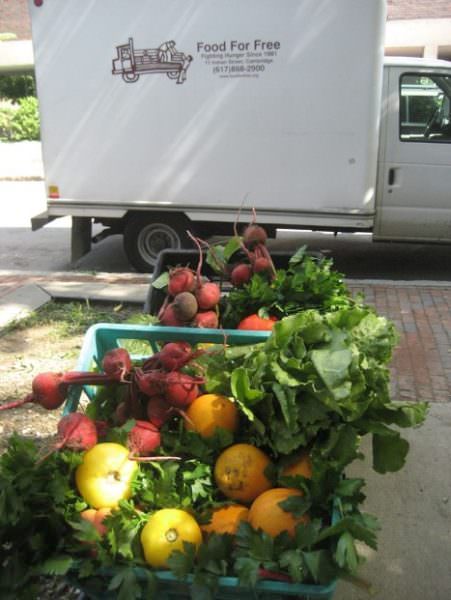 Food For Free truck tackling the issue of food waste