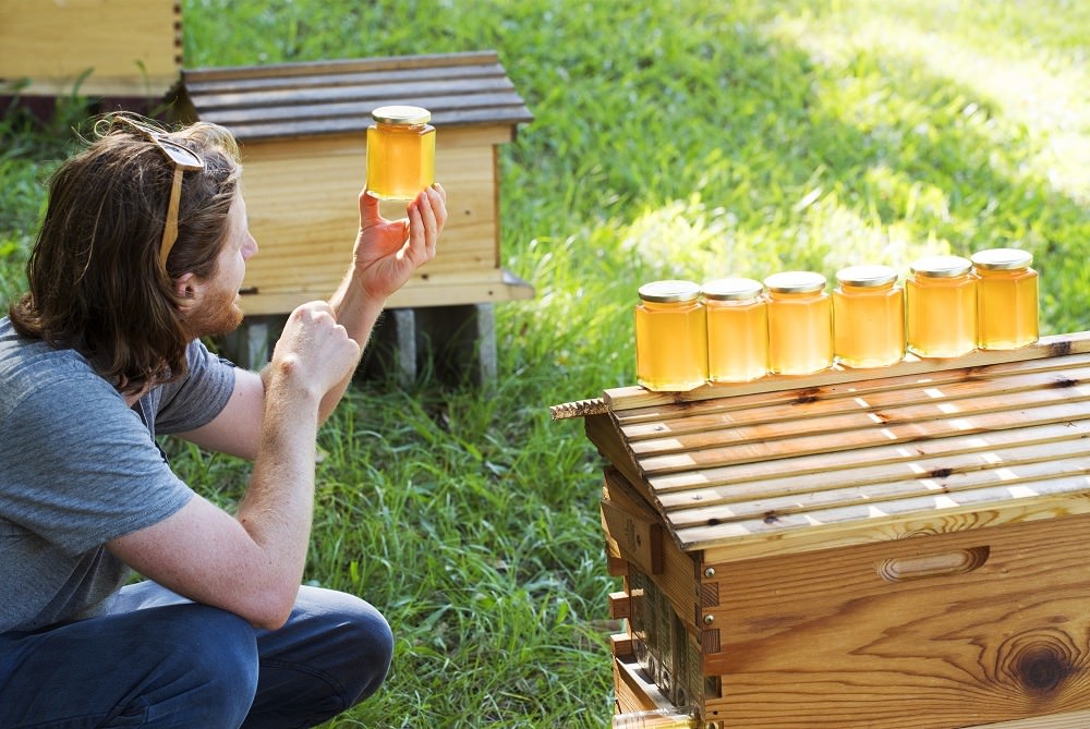 Flow™ Honey sustainable living