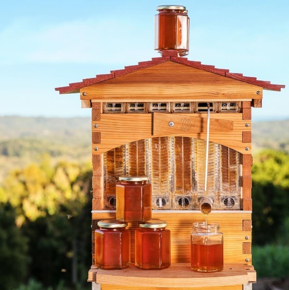 Honey Flow bee system- true sustainable living 
