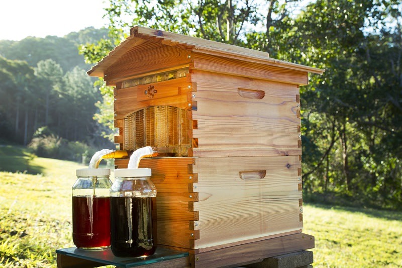 Honey Flow sustainable living system